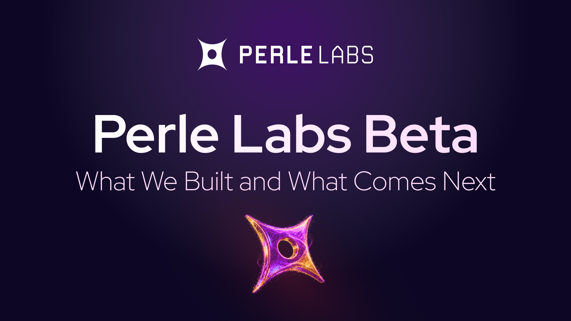 Module 3: Perle Labs Beta Recap